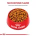 Royal Canin Breed Health Nutrition German Shepherd Adult Dry Dog Food image thumbnail 2