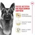 Royal Canin Breed Health Nutrition German Shepherd Adult Dry Dog Food image thumbnail 3