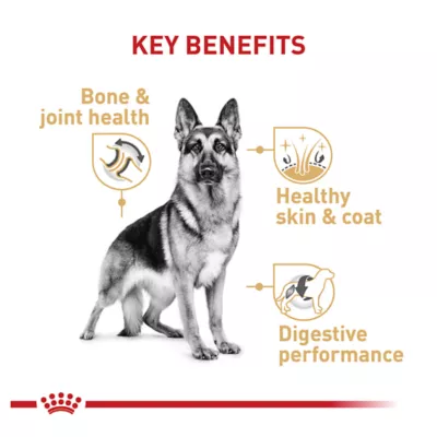 Product Royal Canin® Breed Health Nutrition® German Shepherd Breed Specific Adult Dog Dry Food