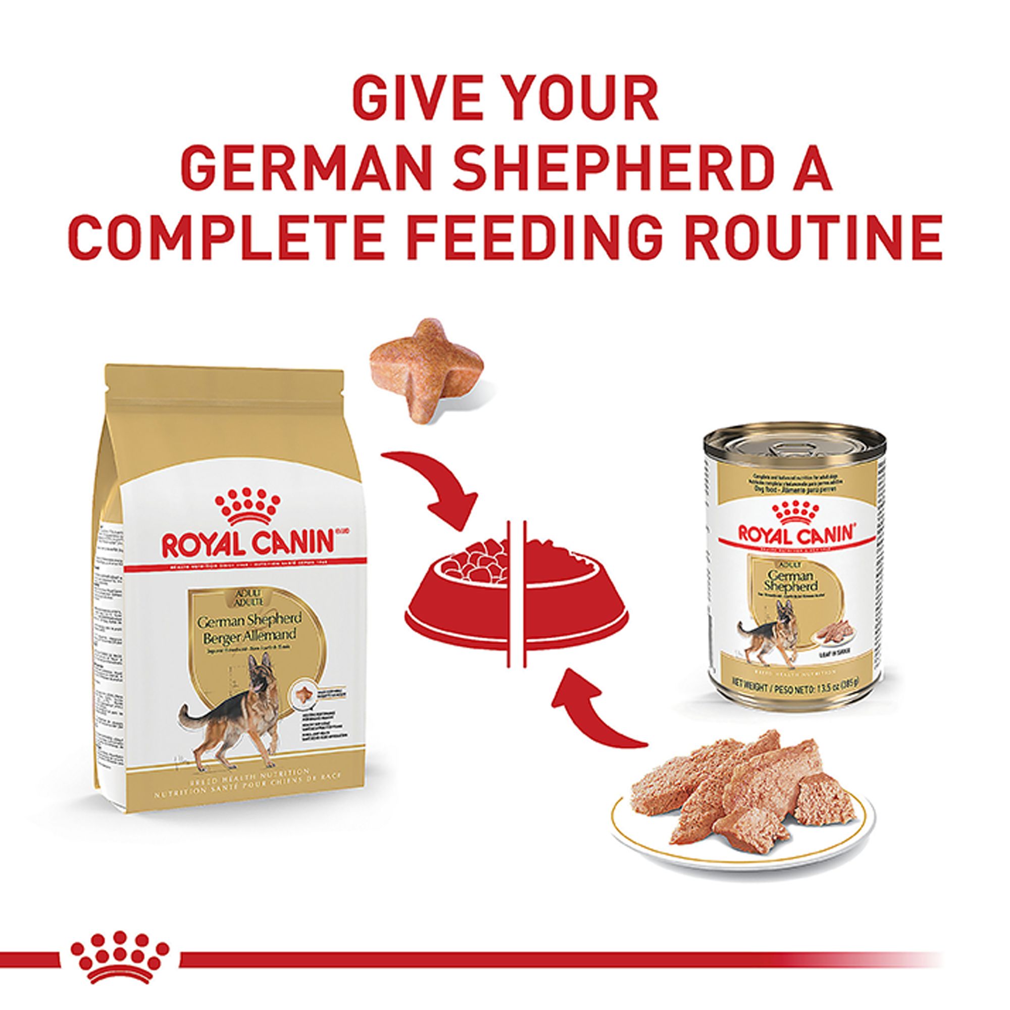 Royal Canin Breed Health Nutrition German Shepherd Adult Dry Dog Food - thumbnail 6