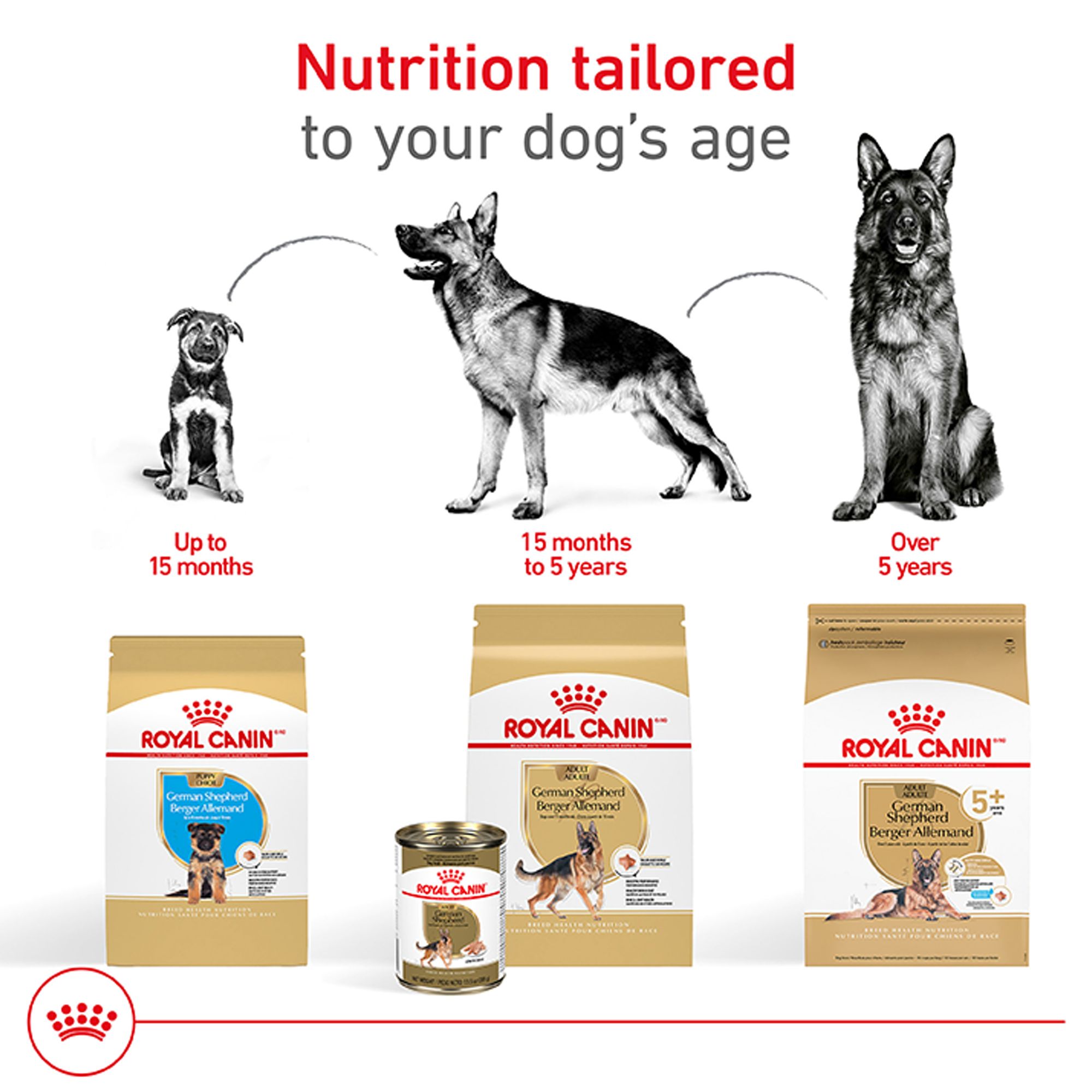Royal Canin Breed Health Nutrition German Shepherd Adult Dry Dog Food - thumbnail 7