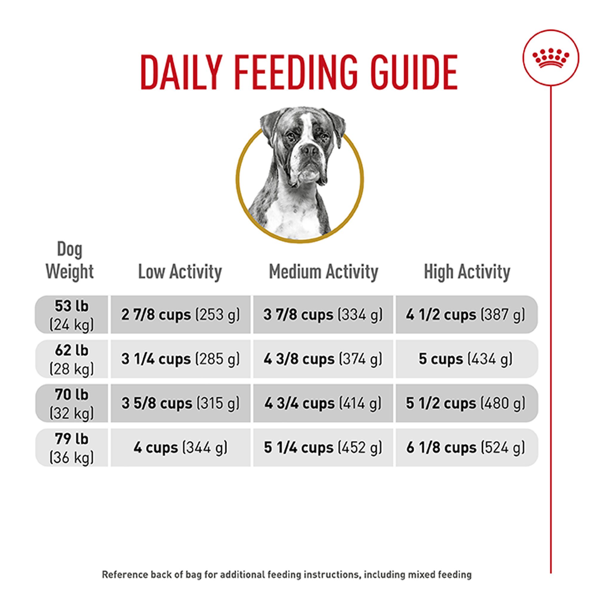 How Much Food Should a 60 Lb Dog Eat: Expert Feeding Guide