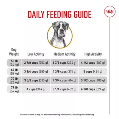 Product Royal Canin® Breed Health Nutrition® Boxer Breed Specific Adult Dog Dry Food