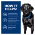 Hill's® Prescription Diet® d/d Skin/Food Sensitivities Adult Dry Dog Food - Potato & Salmon image thumbnail 5