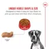 Royal Canin® Breed Health Nutrition® Boxer Breed Specific Adult Dog Dry Food image thumbnail 4