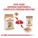 Product Royal Canin® Breed Health Nutrition® German Shepherd Breed Specific Adult Dog Dry Food