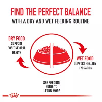 Product Royal Canin® Breed Health Nutrition® German Shepherd Breed Specific Adult Dog Dry Food