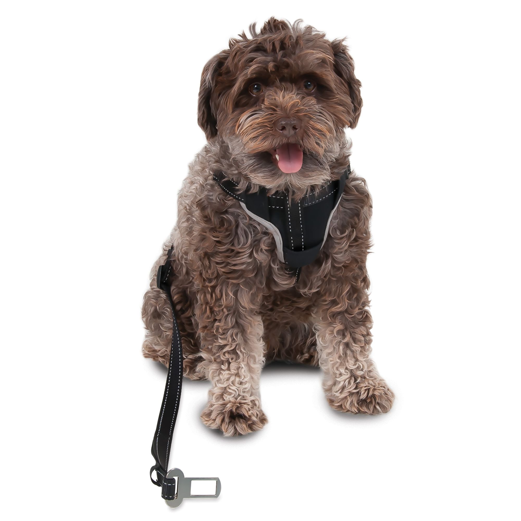 Petmate® Ultimate Travel Dog Harness & Leash dog Harnesses PetSmart