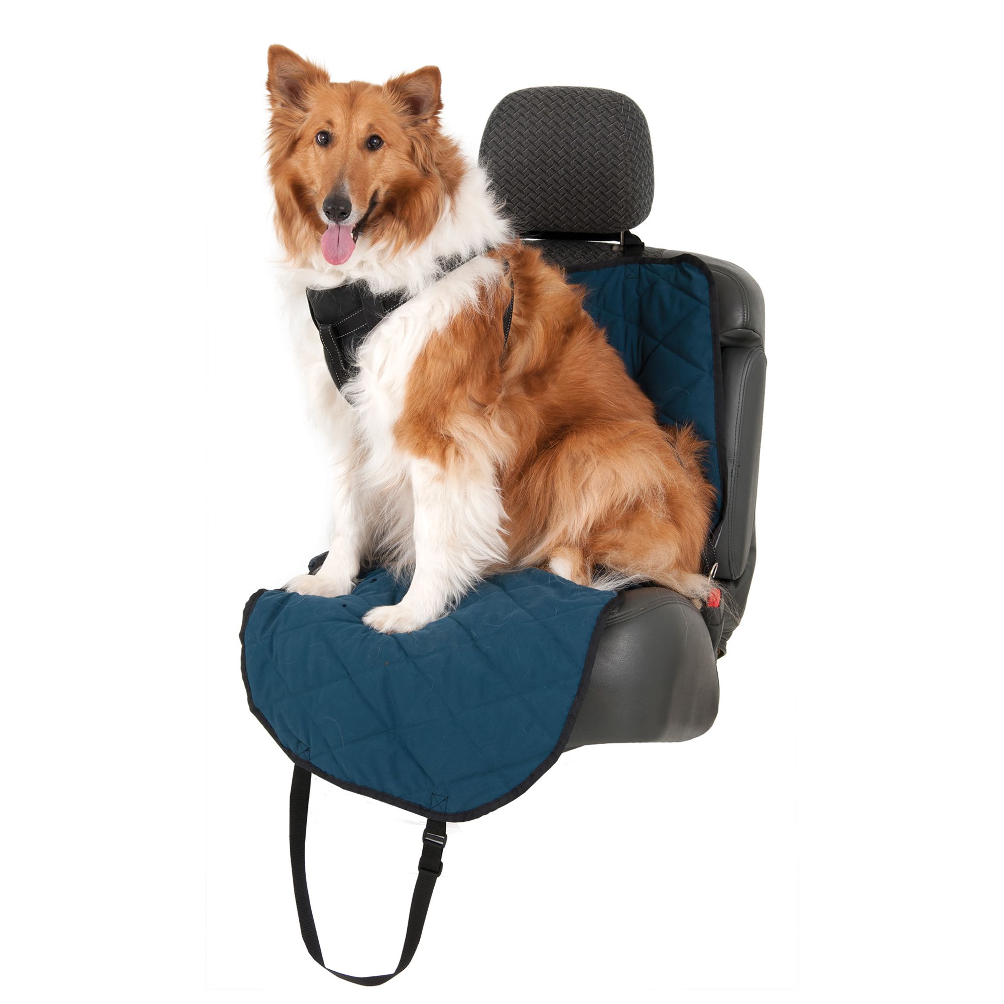 petsmart car harness