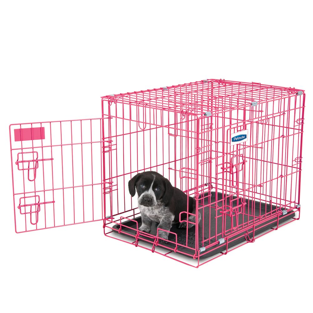 pop up dog crate petsmart