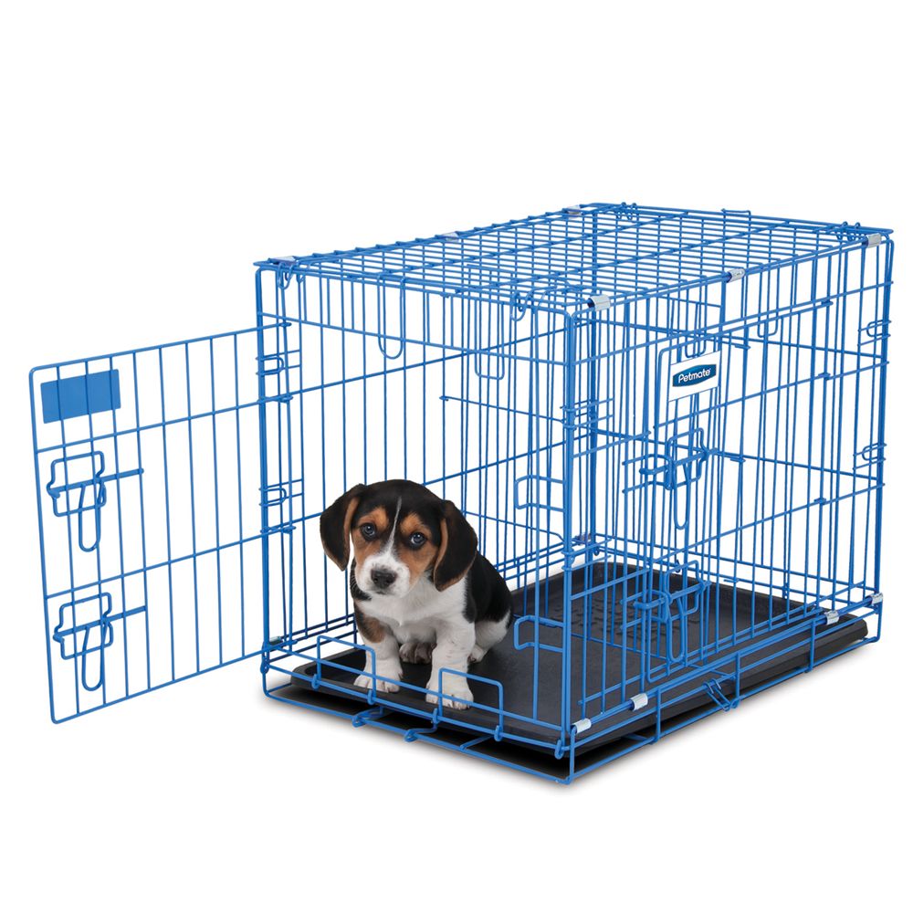 petsmart plastic dog crate
