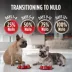Nulo MedalSeries Adult Dry Dog Food - Salmon image thumbnail 6