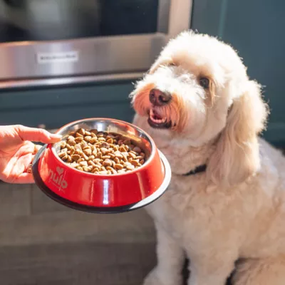 Product Nulo MedalSeries Puppy Dry Dog Food - Chicken