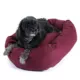 Product Majestic Pet Bagel Dog Bed