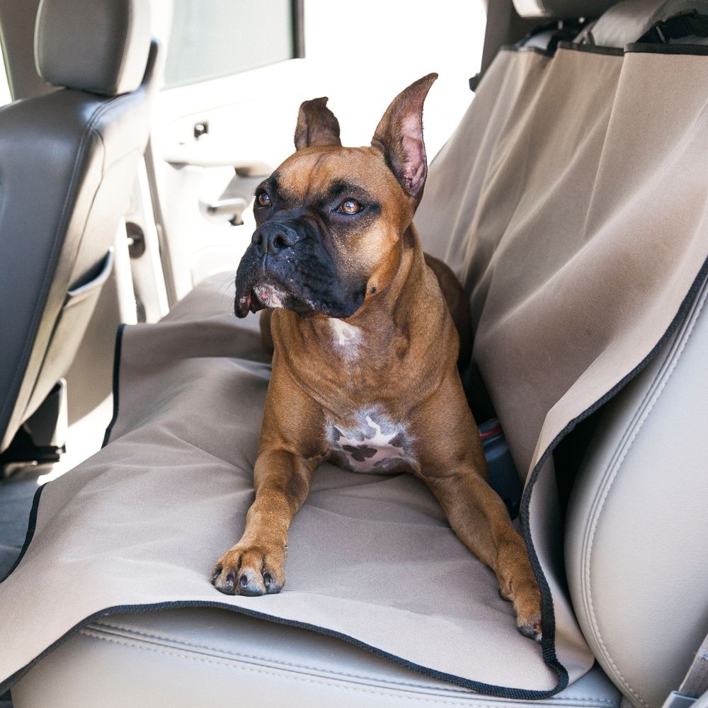 Dog car hammock clearance petsmart