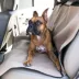 Majestic Back Seat Cover - Dog Car Seat Cover image thumbnail 1