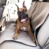 Majestic Back Seat Cover - Dog Car Seat Cover image thumbnail 2