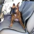 Majestic Pet Products Back Seat Cover image thumbnail 1