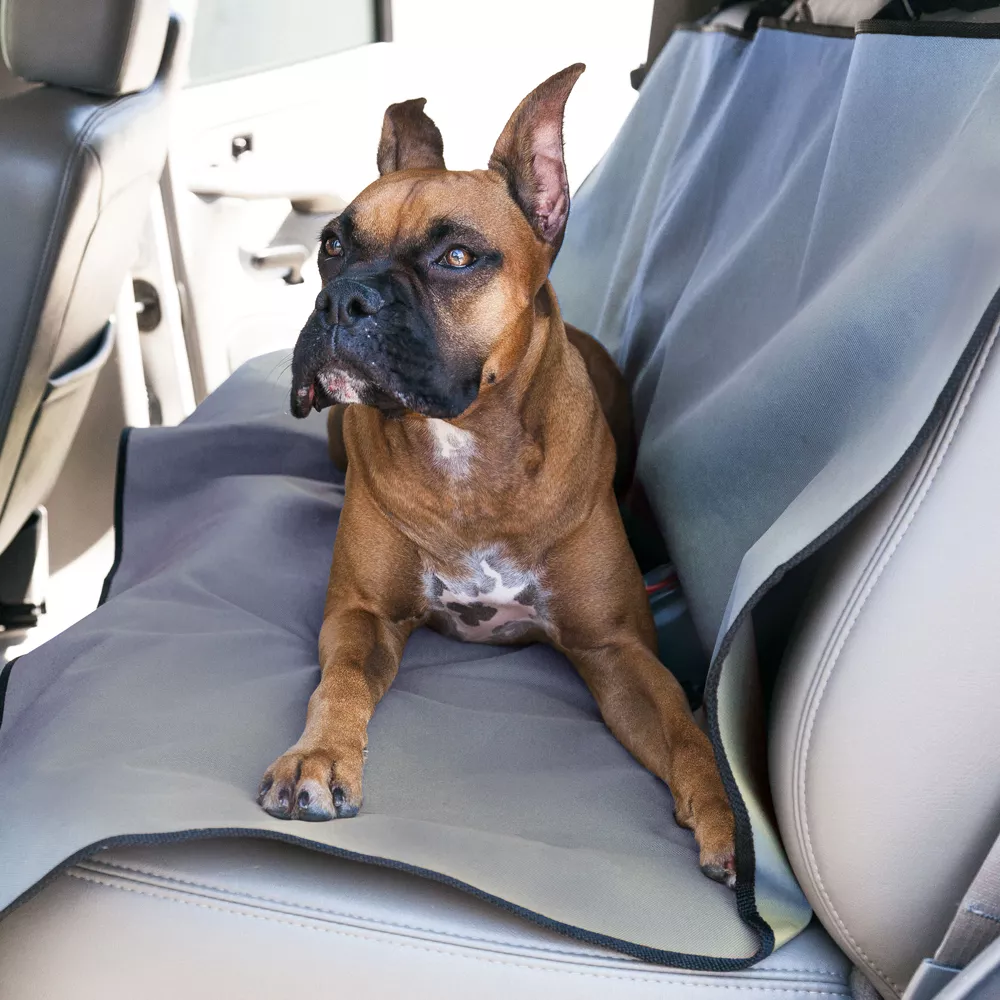 Petsmart car barrier best sale