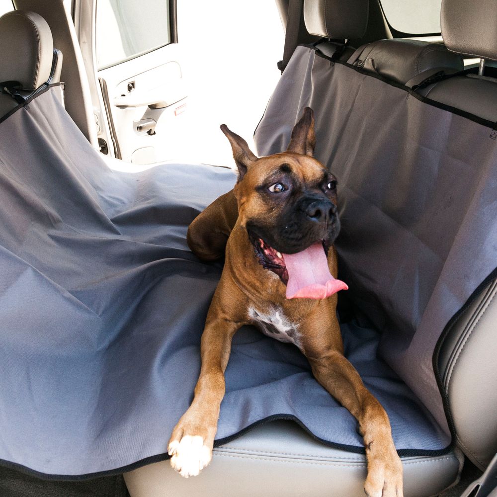 Pet seat 2025 covers petsmart