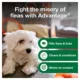 Product Advantage® Flea & Tick Dog & Puppy Shampoo