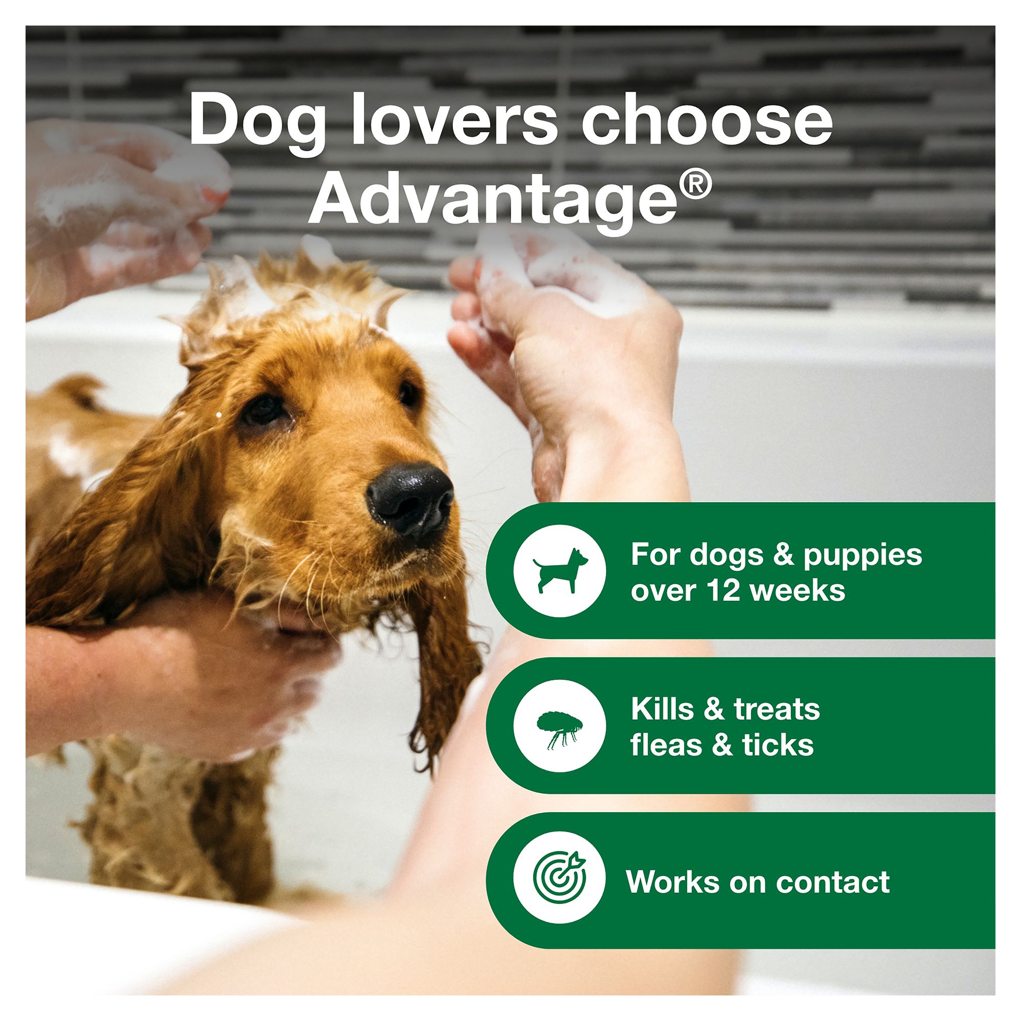 Advantage Flea Tick Dog Puppy Shampoo PetSmart in Tustin CA