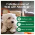 Advantage® Flea & Tick Dog & Puppy Shampoo image thumbnail 6