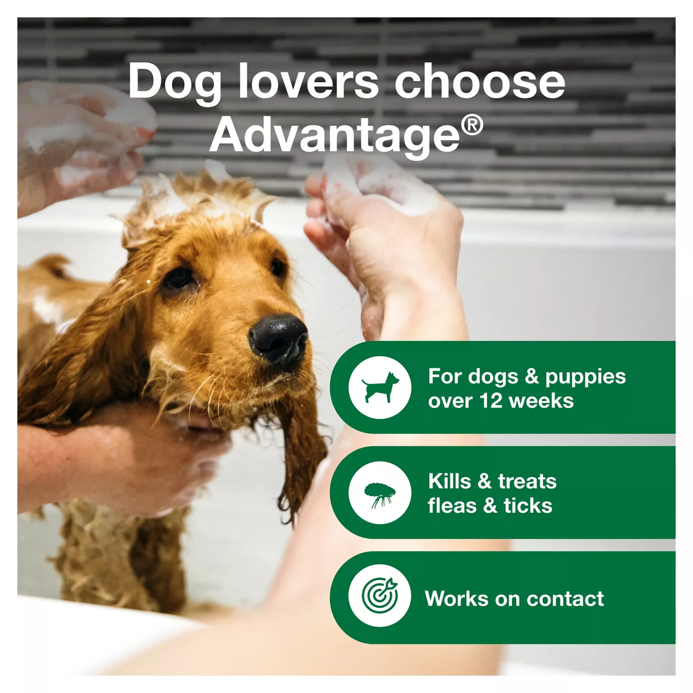 Advantage Flea Tick Dog Puppy Shampoo