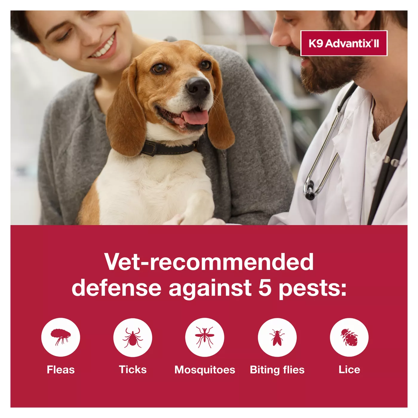 K9 Advantix II 11 20 lbs Dog Flea Tick Treatment