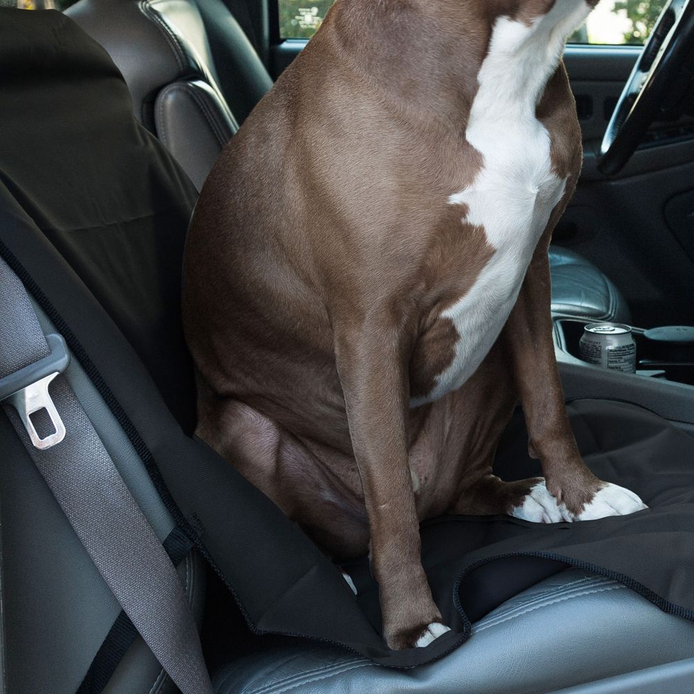 Back seat cover hot sale for dogs petsmart