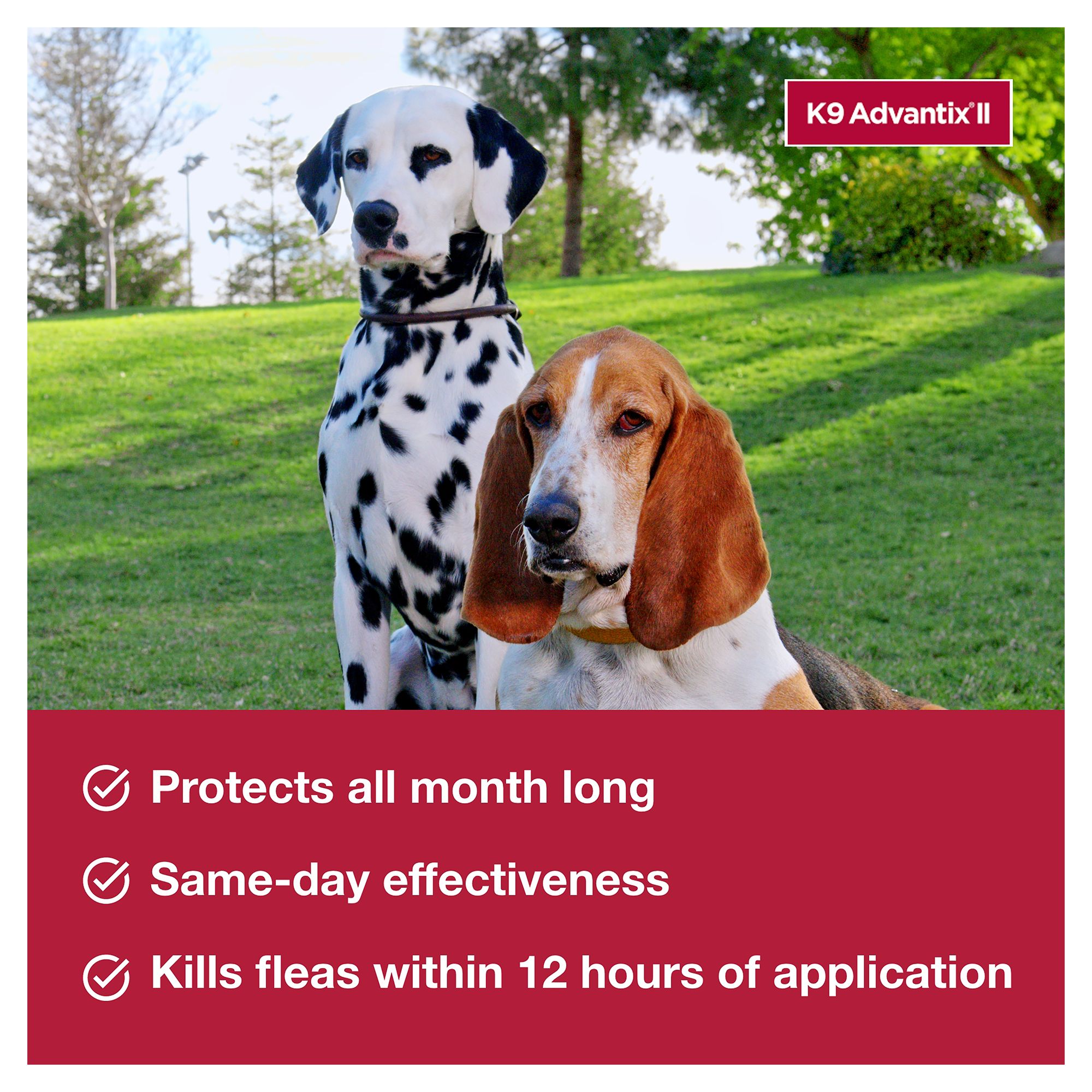 K9 Advantix® II Over 55 lbs Dog Flea 