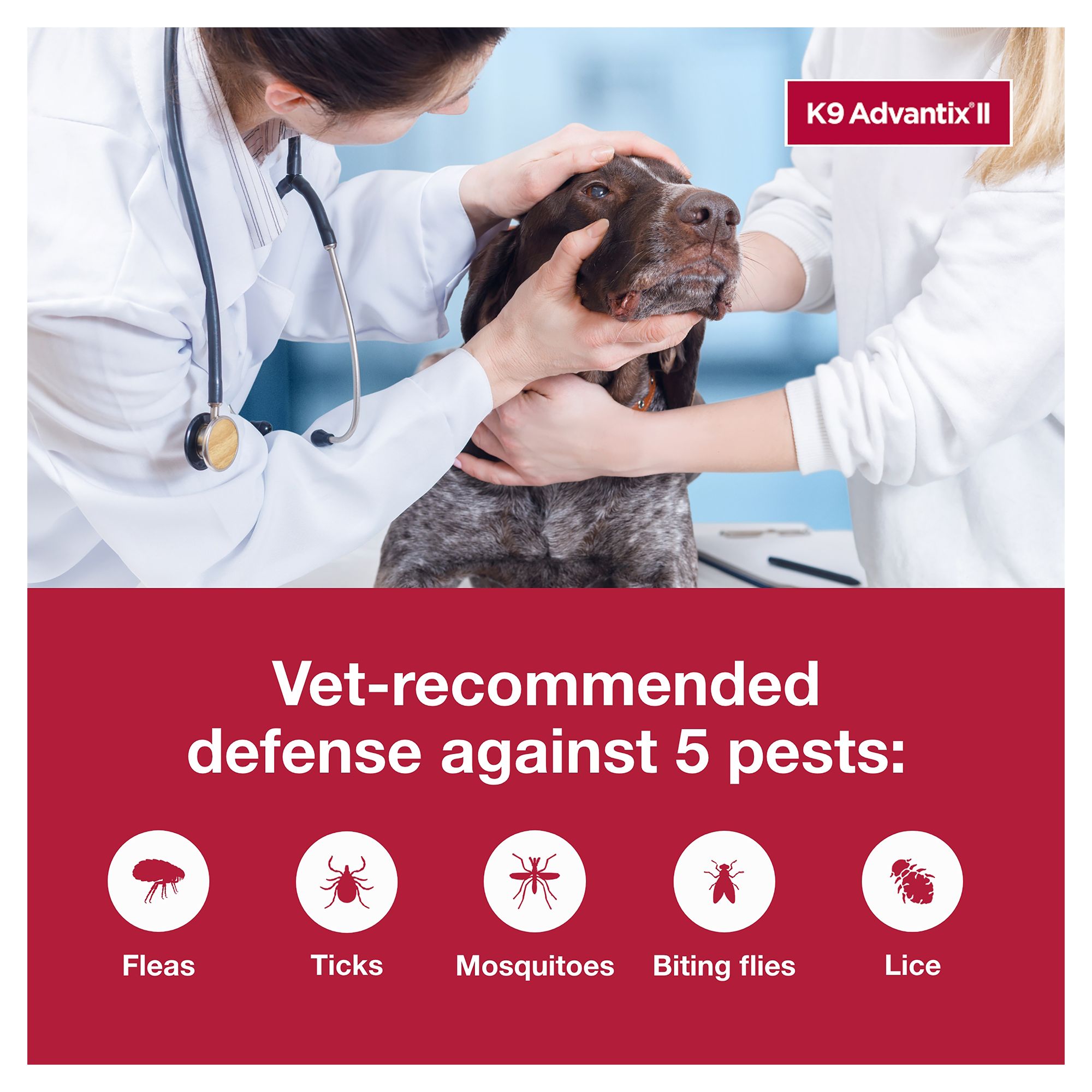 k9 advantix ii ticks