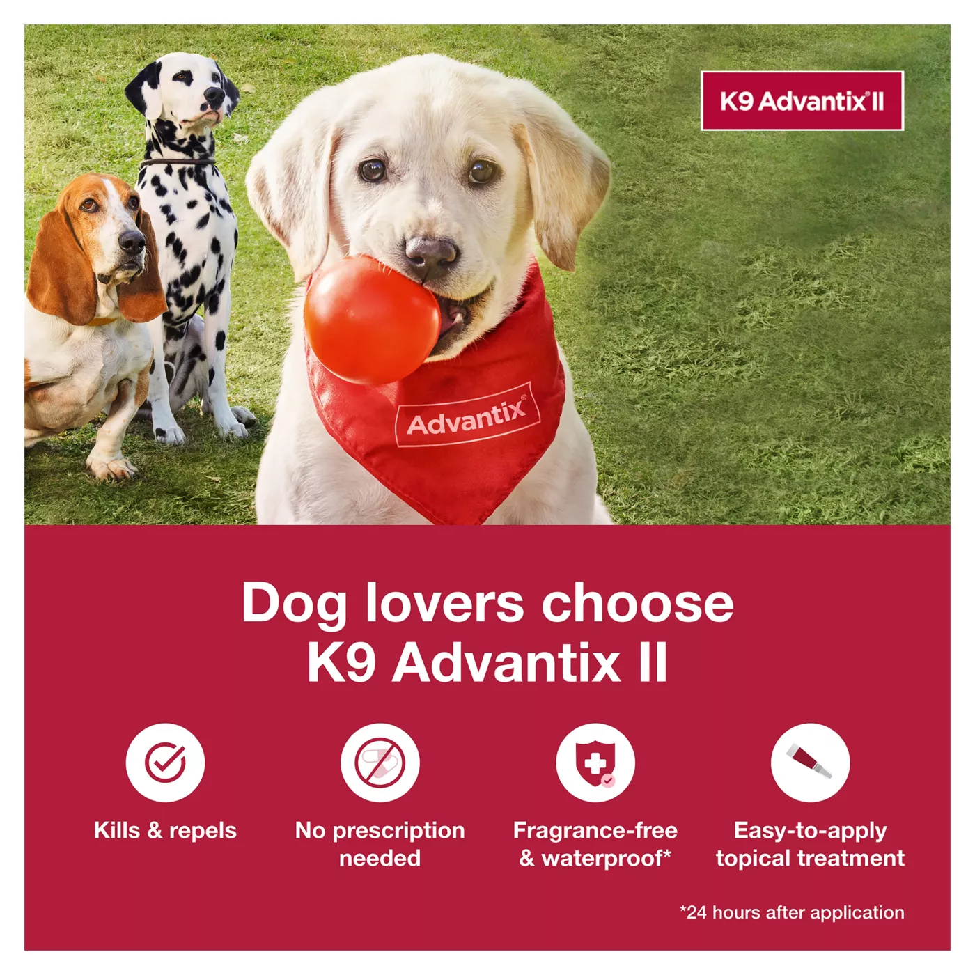 Buy discount k9 advantix for dogs hotsell