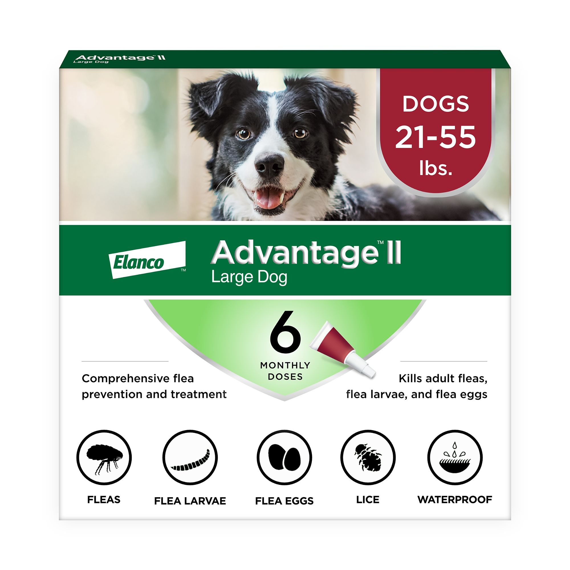 oral flea medication for dogs petsmart