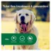 Advantage® II Flea Prevention & Treatment for Large Dogs 21-55 lbs, Monthly Doses image thumbnail 4