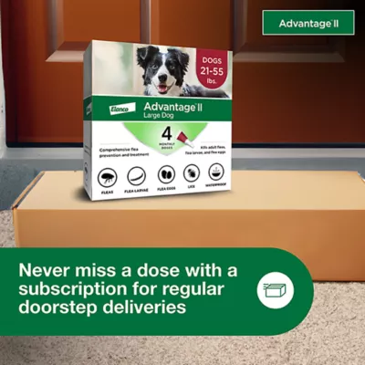 Advantage® II Flea Prevention & Treatment for Large Dogs 21-55 lbs, Monthly Doses - Image 6
