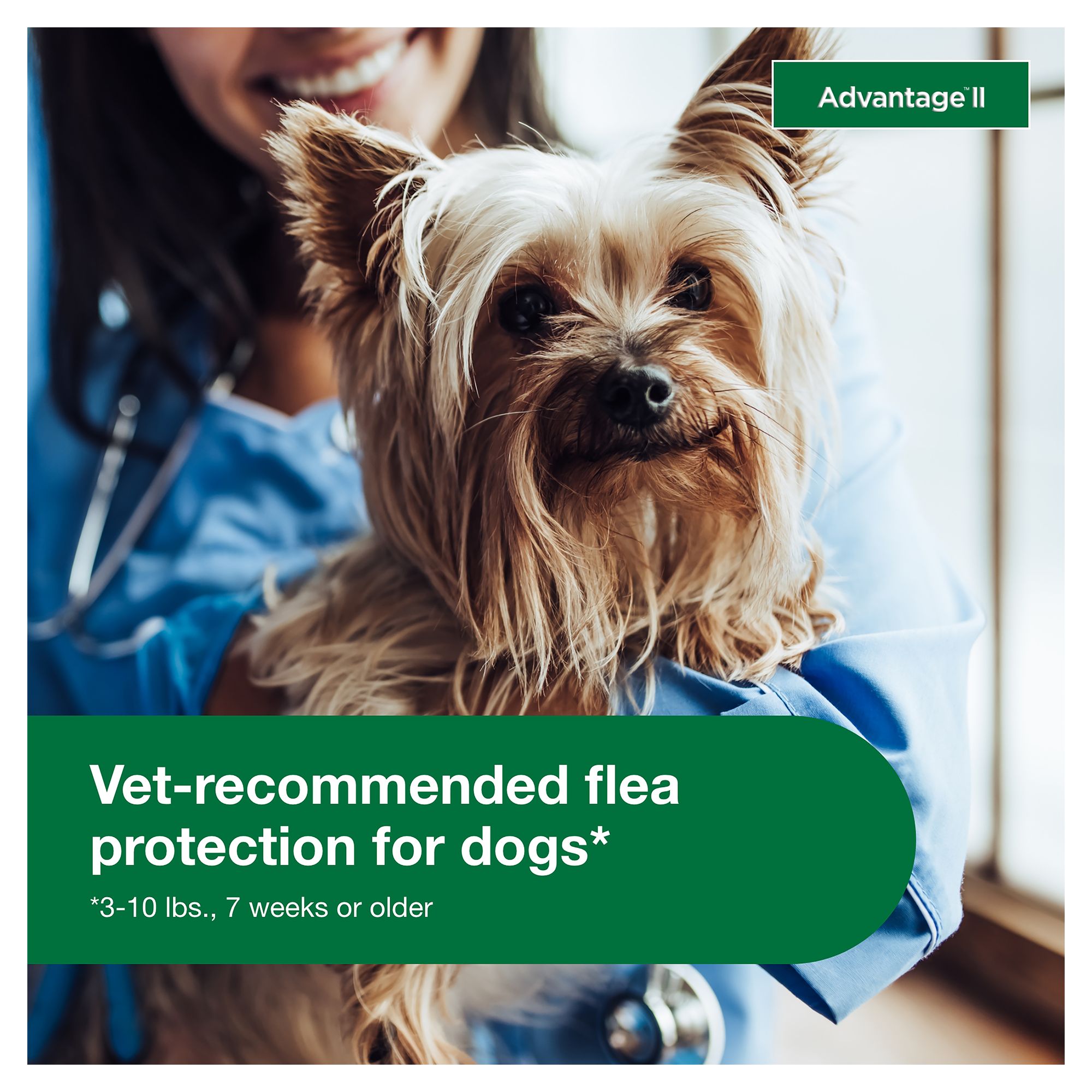 advantage flea treatment for small dogs