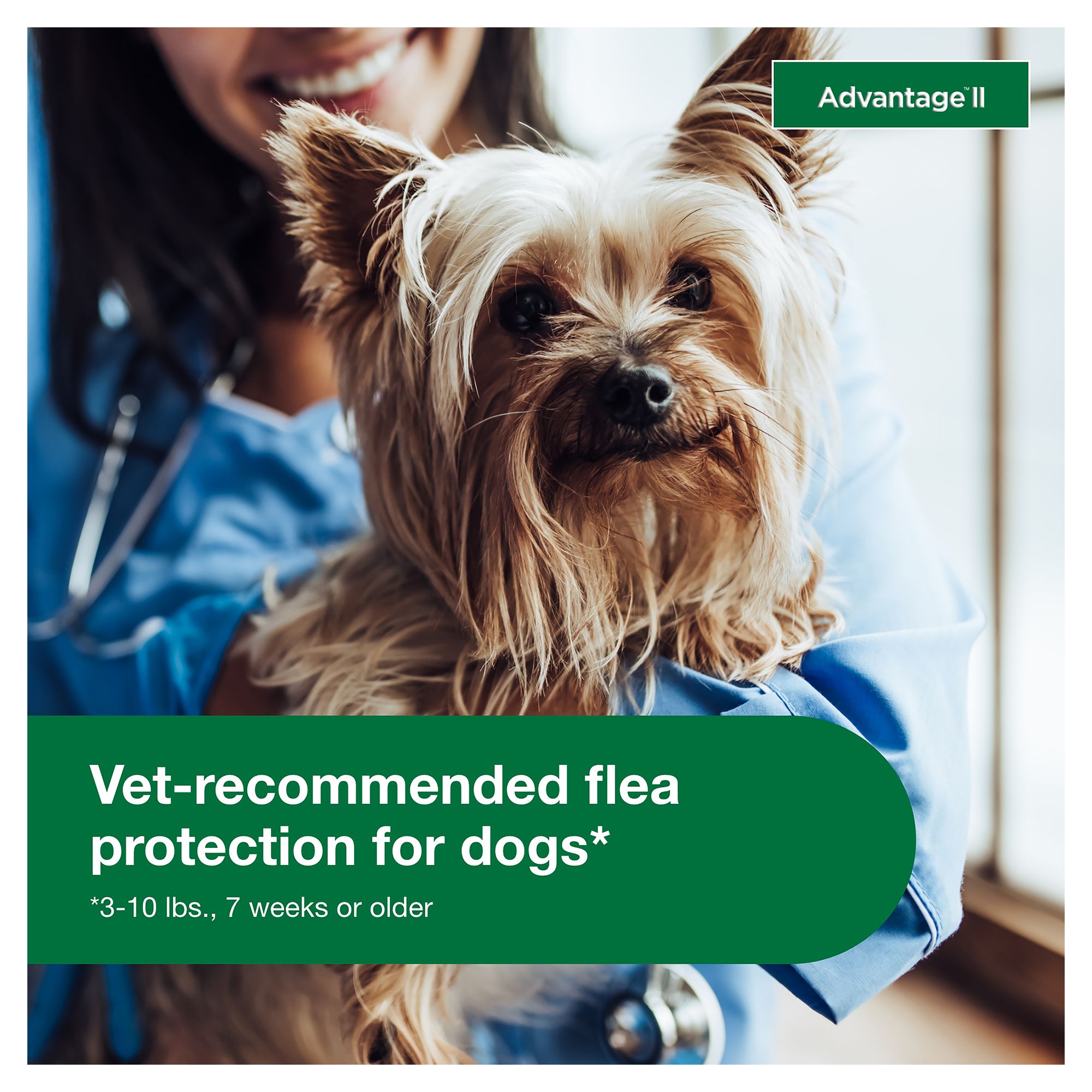 vet recommended flea treatment