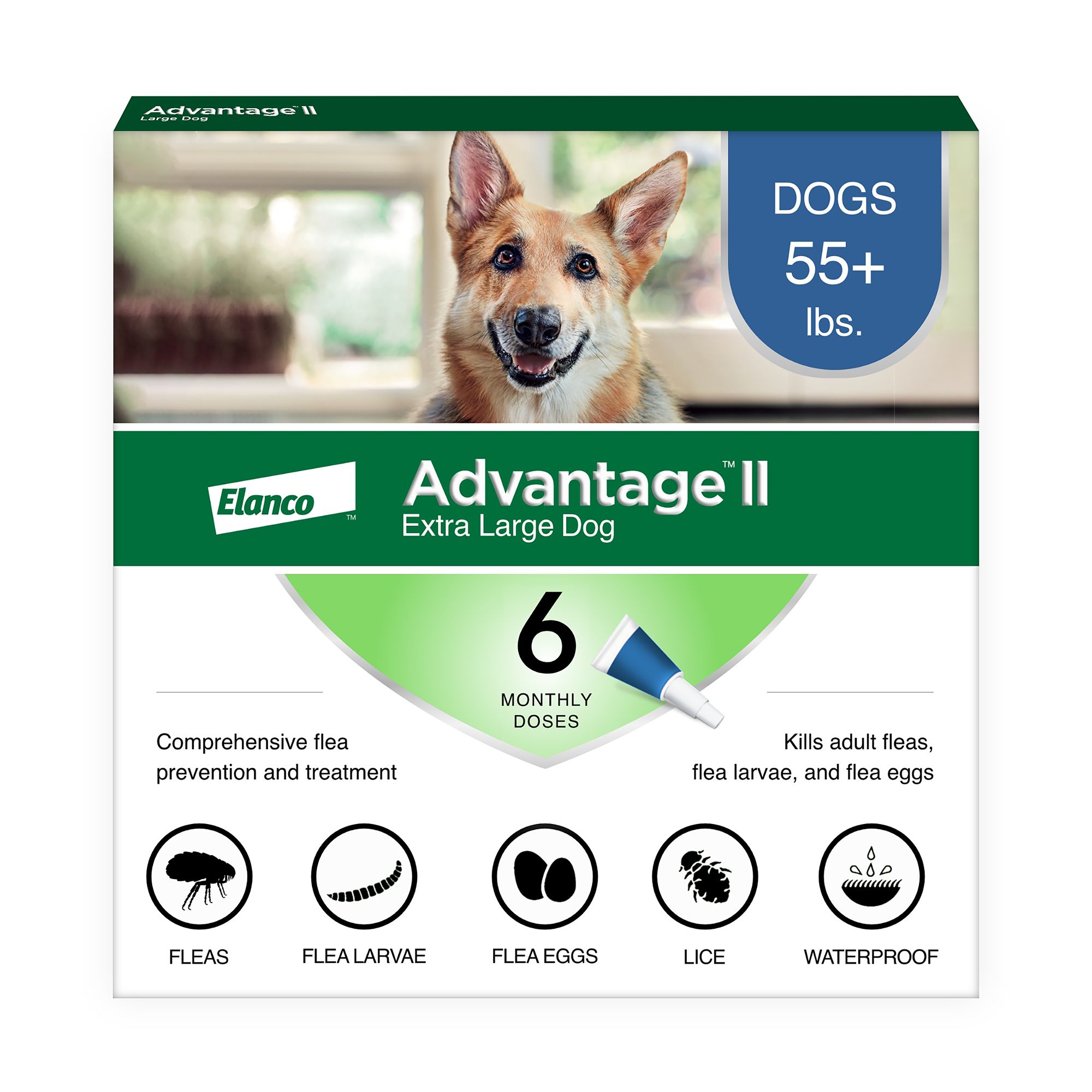 Monthly oral flea treatment for dogs best sale