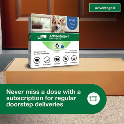 Advantage® II Flea Prevention & Treatment for Extra Large Dogs over 55 lbs, Monthly Doses - Image 6