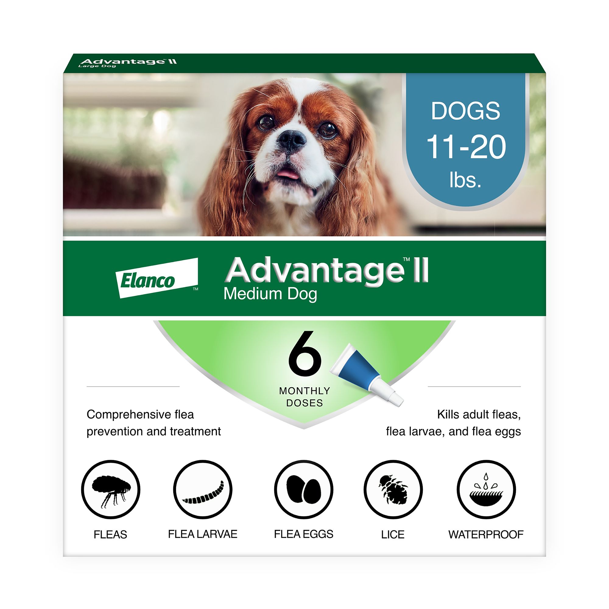 Advantage ii 2025 for cats petsmart