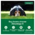 Advantage® II Flea Prevention & Treatment for Medium Dogs 11-20 lbs, Monthly Doses image thumbnail 3