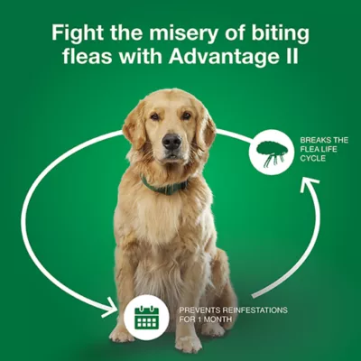 Product Advantage® II 11-20 lbs Dog Flea & Lice Treatment