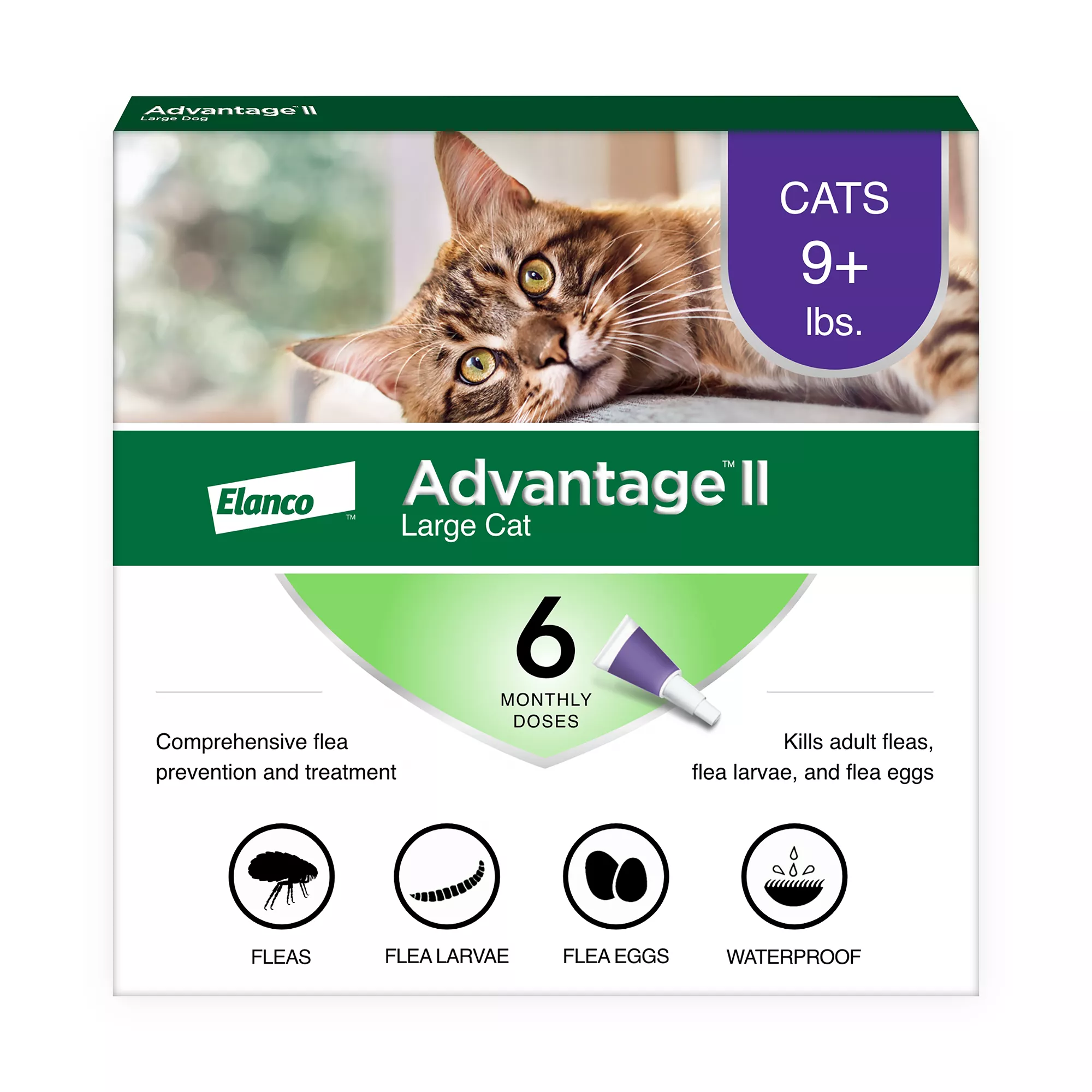 Indoor cat flea treatment hotsell