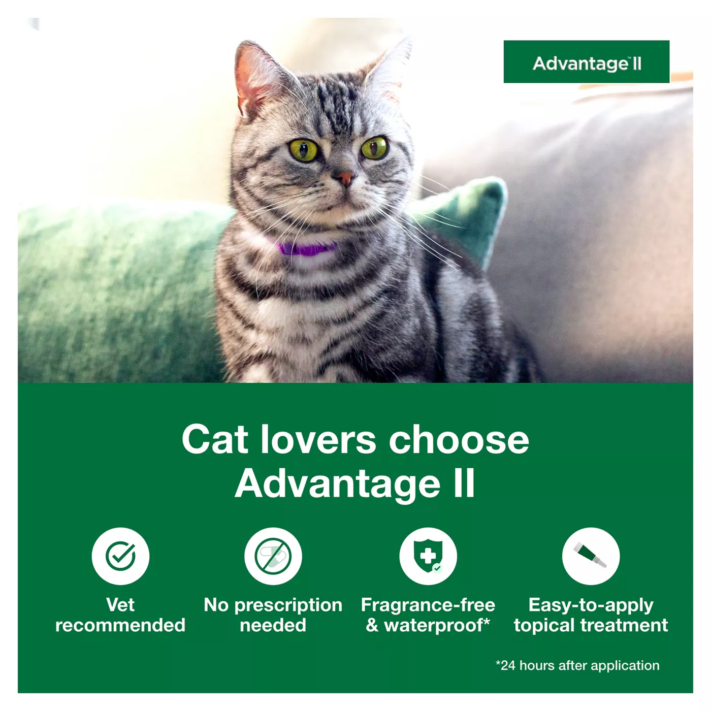 Advantage 2 for cats coupons hotsell