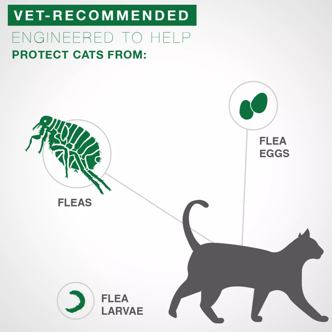 Advantage II Over 9 lbs Cat Flea Prevention Treatment