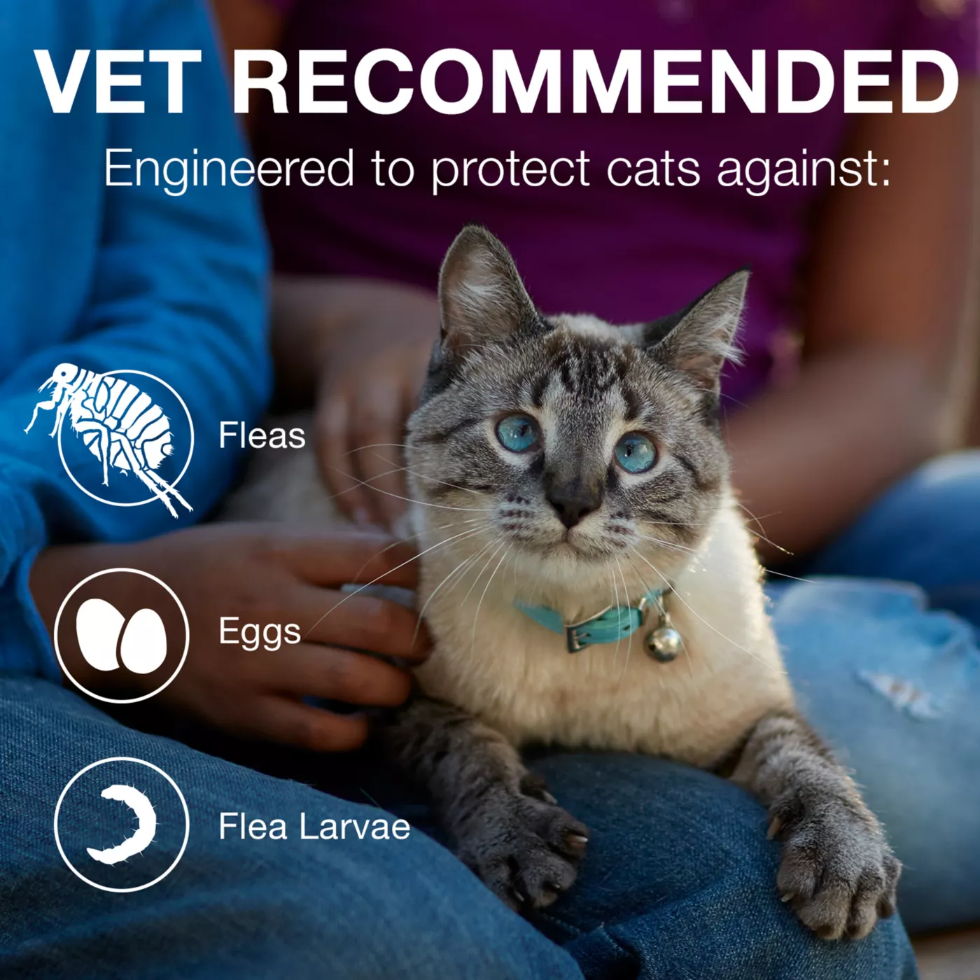 Advantage II Over 9 lbs Cat Flea Prevention Treatment