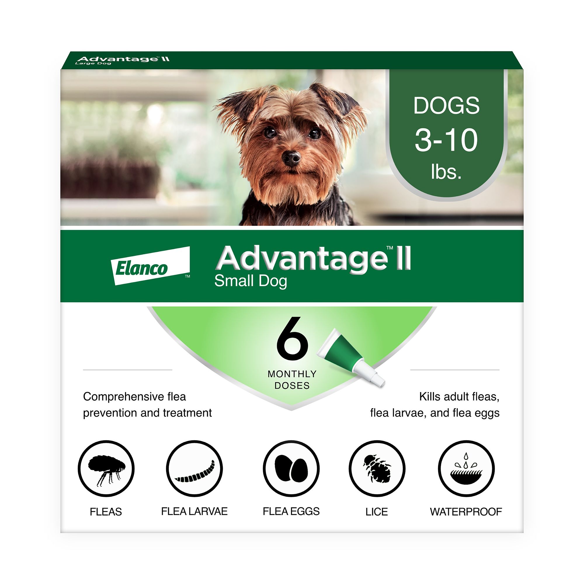 Pets at home dog flea treatment best sale