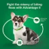 Advantage® II Flea Prevention & Treatment for Small Dogs 3-10 lbs, Monthly Doses image thumbnail 8