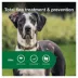 Advantage® II Flea Prevention & Treatment for Extra Large Dogs over 55 lbs, Monthly Doses image thumbnail 4
